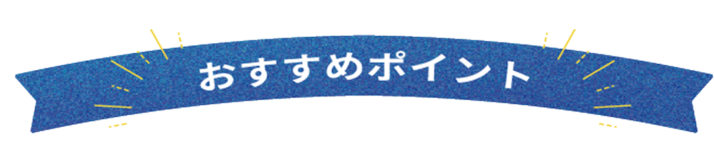 おすすめポイント